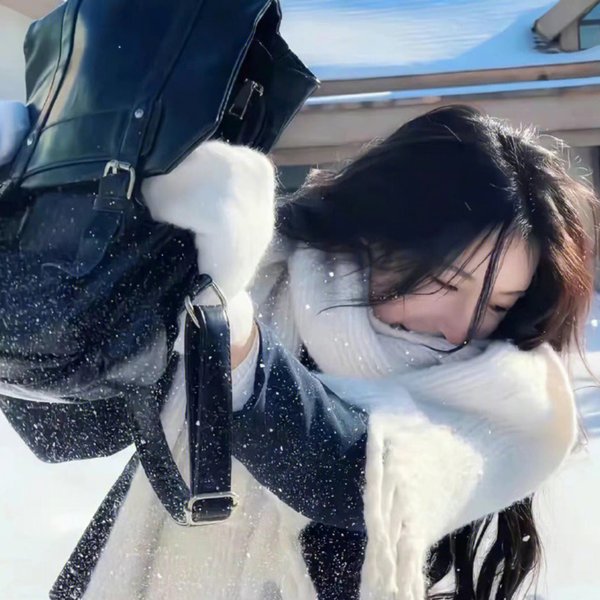 勇探雪沉冤