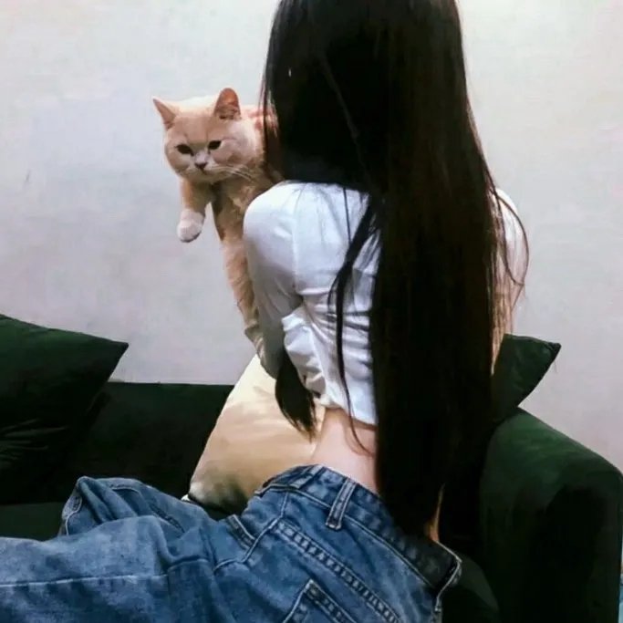 双狼